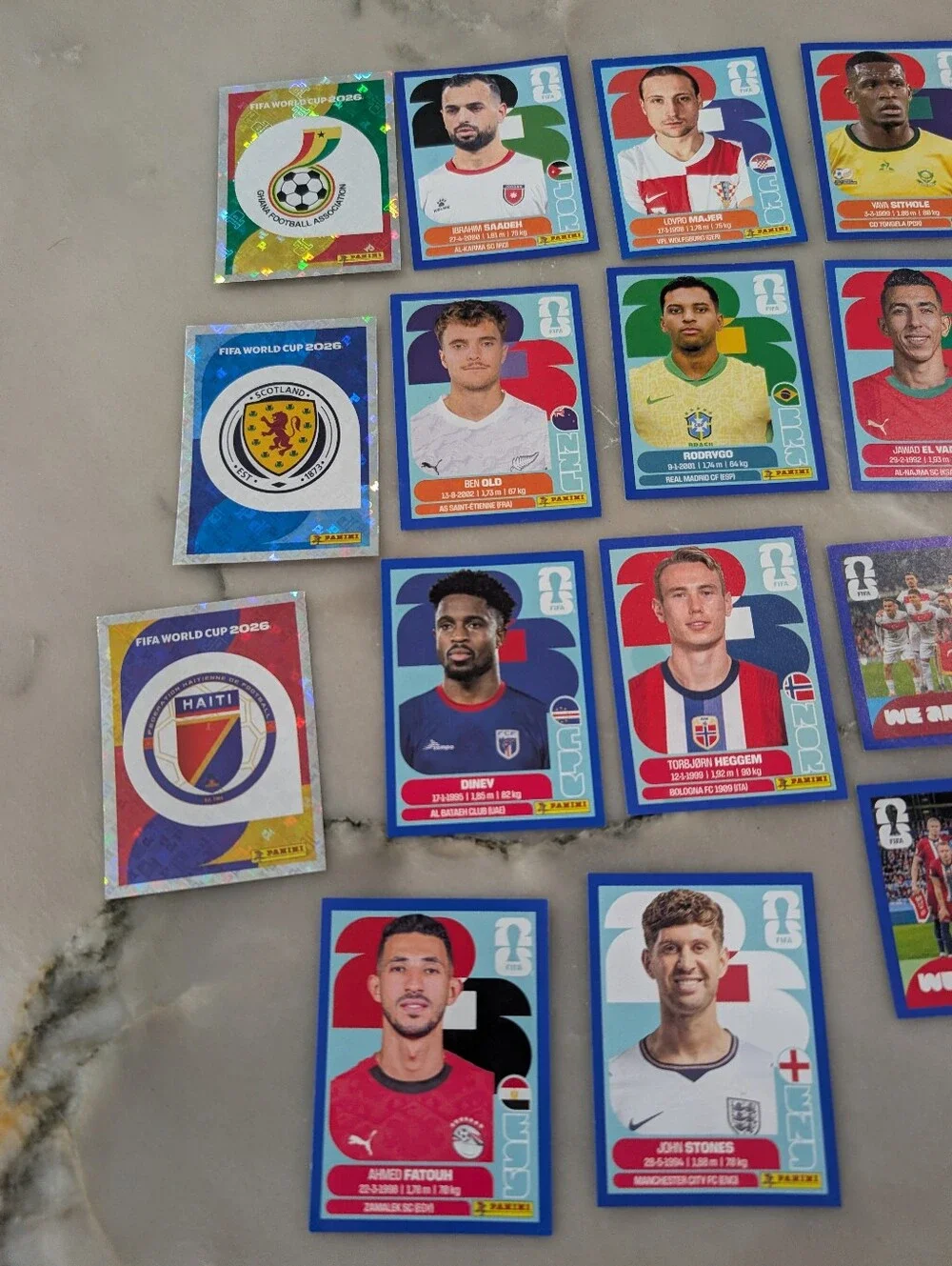 Panini fifa world